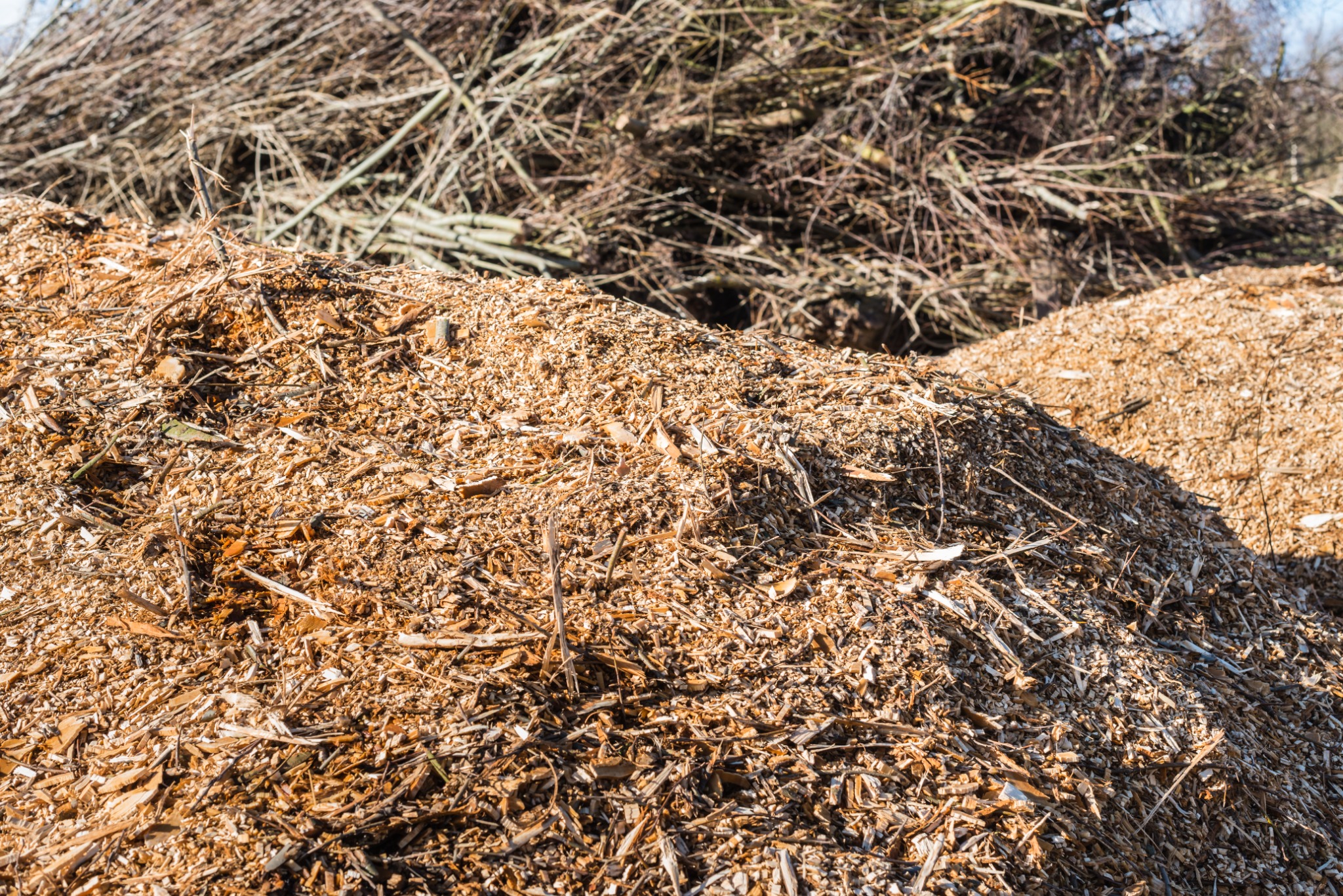 Biomass residue and pruning waste feedstock